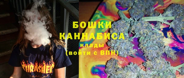 гашик Алексеевка
