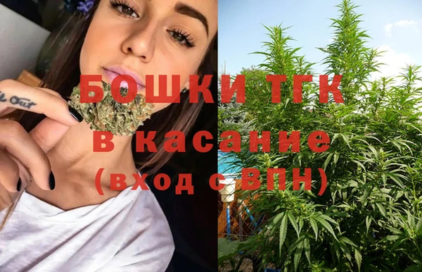 эйфоретик Горняк