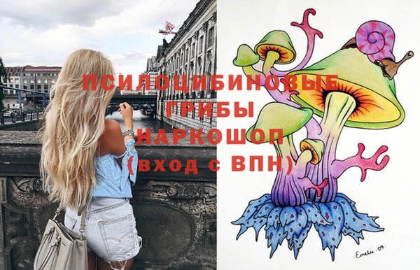 соль курить ск Алзамай
