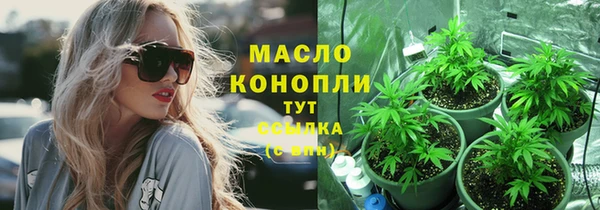 амф Горнозаводск
