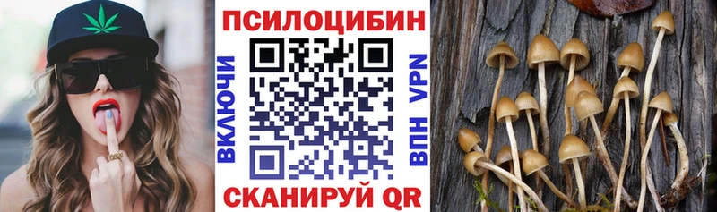 Купить закладки  Богучар  Галлюциногенные грибы MAGIC MUSHROOMS 